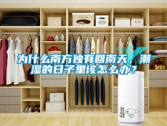 常見問題為什么南方獨有回南天，潮濕的日子里該怎么辦？
