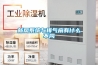 新風(fēng)系統(tǒng)與排氣扇有什么不同