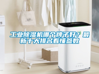 常見問題工業除濕機哪個牌子好？最新十大排名看懂參數