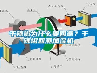企業新聞干辣椒為什么要回潮？干辣椒回潮加濕機