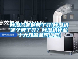 企業(yè)新聞除濕器哪種牌子好(除濕機(jī)哪個牌子好？除濕機(jī)行業(yè)十大知名品牌匯總)