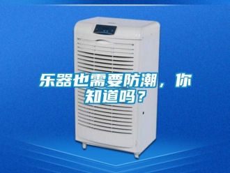 常見問題樂器也需要防潮，你知道嗎？
