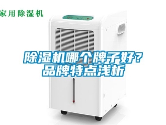 企業(yè)新聞除濕機哪個牌子好？品牌特點淺析