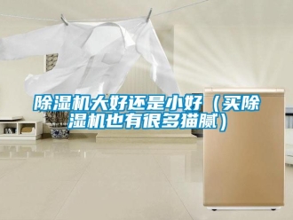 企業新聞除濕機大好還是小好（買除濕機也有很多貓膩）