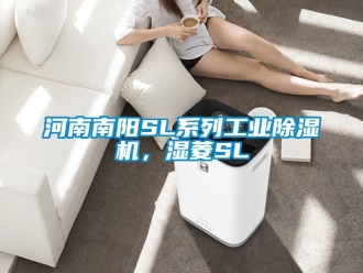 常見問題河南南陽SL系列工業(yè)除濕機，濕菱SL