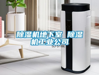 常見問題除濕機地下室 除濕機工業(yè)公司