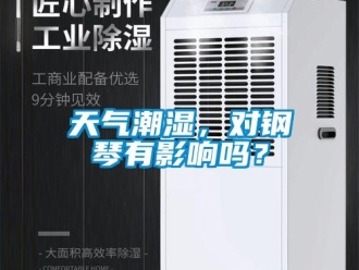 常見問題天氣潮濕，對鋼琴有影響嗎？