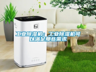常見問題工業除濕機：工業除濕機可以滿足那些需求