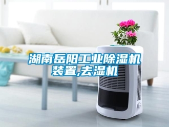 常見問題湖南岳陽工業除濕機裝置,去濕機