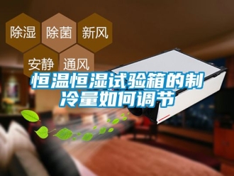 知識百科恒溫恒濕試驗箱的制冷量如何調節
