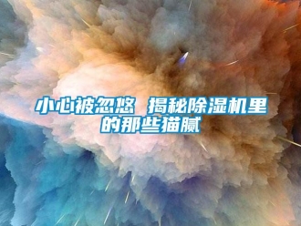 知識百科小心被忽悠 揭秘除濕機里的那些貓膩