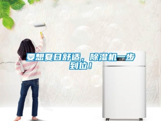 知識百科要想夏日舒適，除濕機一步到位！